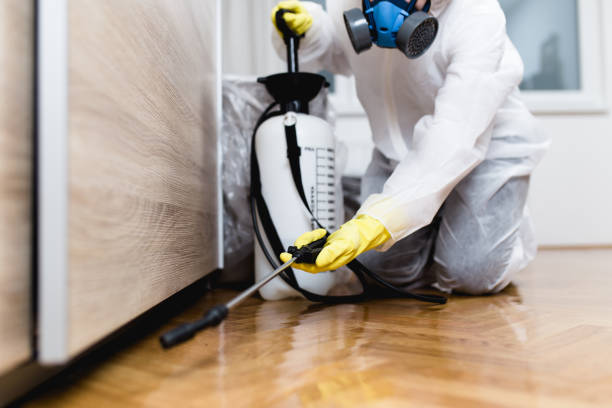 Best Residential Pest Control  in Rose Hill, KS