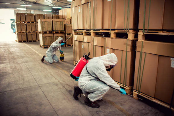 Best Affordable Pest Control Services  in Rose Hill, KS