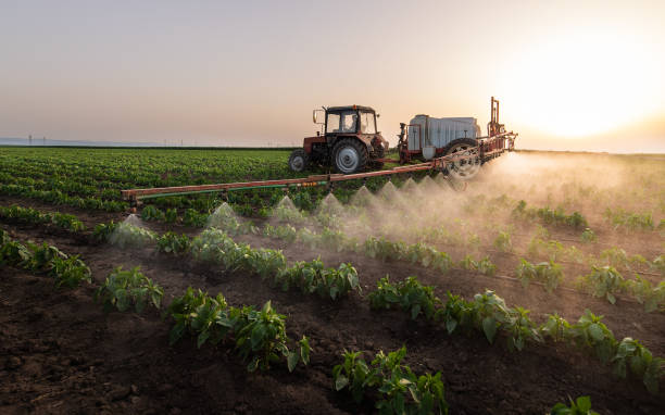 Best Pest Prevention Services  in Rose Hill, KS