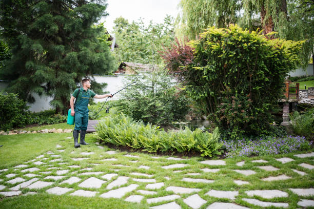 Best Ant Control Services  in Rose Hill, KS