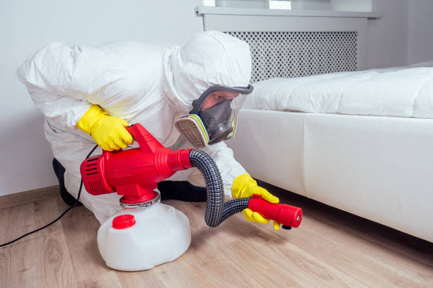 Best Wasp Removal Services  in Rose Hill, KS