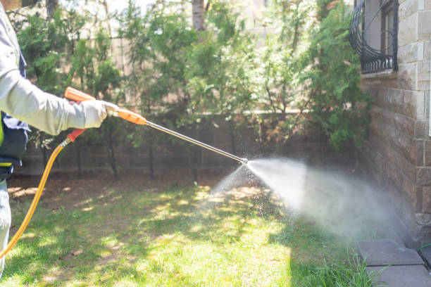 Best Rat Extermination Near Me  in Rose Hill, KS