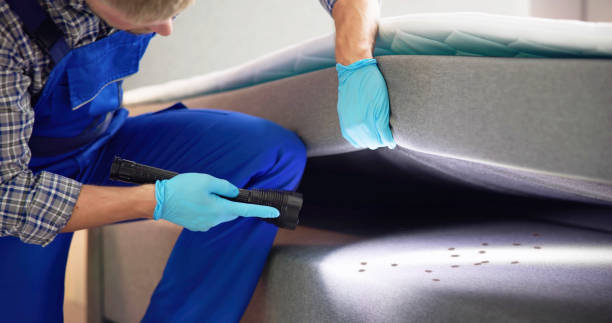 Best Ant Control Services  in Rose Hill, KS