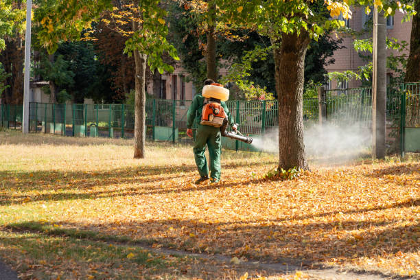 Wasp Removal Services in Rose Hill, KS