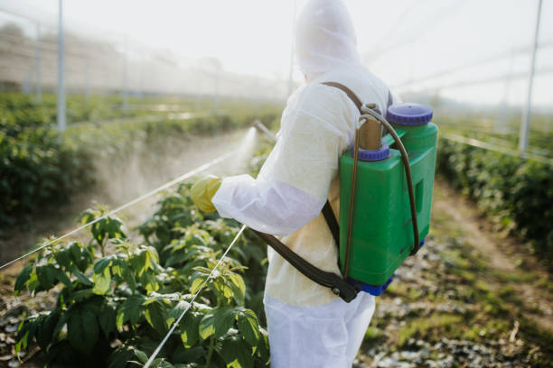Best Residential Pest Control  in Rose Hill, KS
